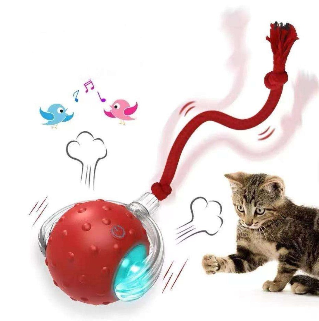 Electric cat ball toy interactive rolling ball product view 1