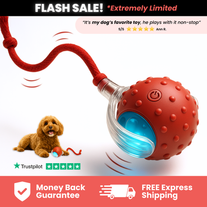 Electric cat ball toy interactive rolling ball product view 2