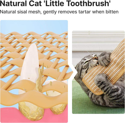 Cat scratch mat refillable catnip chew mat product view 5